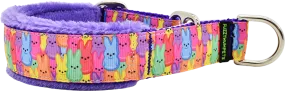 1" Rainbow Peepers Everyday Limited Slip Collar