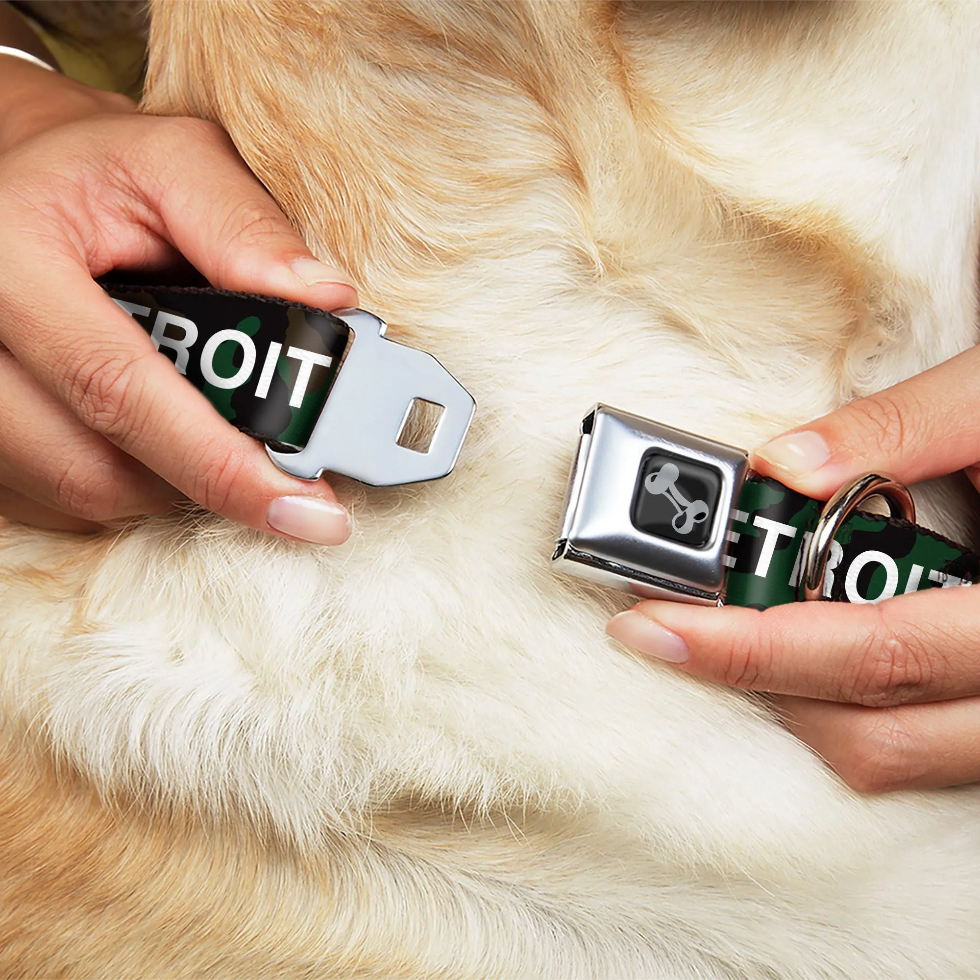 Detroit City Seatbelt Dog Collar - Camo Olive/White
