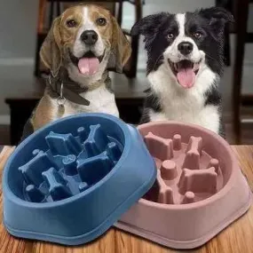 Enchanté Pet Dining Set: Healthy Eating Made Chic 🐾