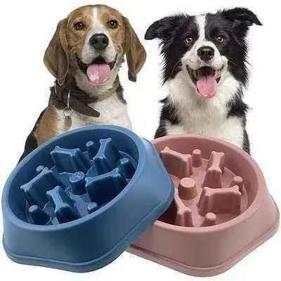Enchanté Pet Dining Set: Healthy Eating Made Chic 🐾