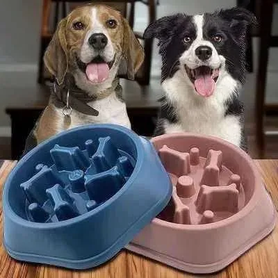 Enchanté Pet Dining Set: Healthy Eating Made Chic 🐾