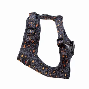 Funk The Dog Harness | GoldBlack Leopard