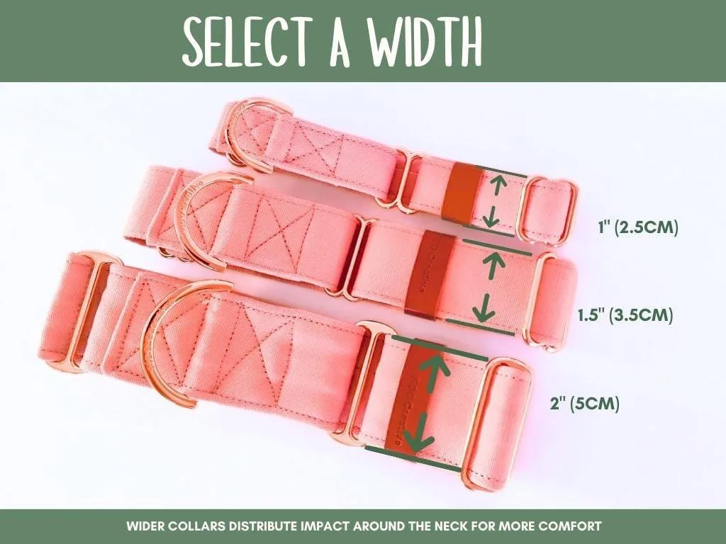 Green Martingale collar - Padded