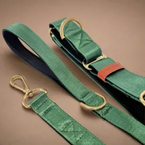 Green Martingale collar - Padded