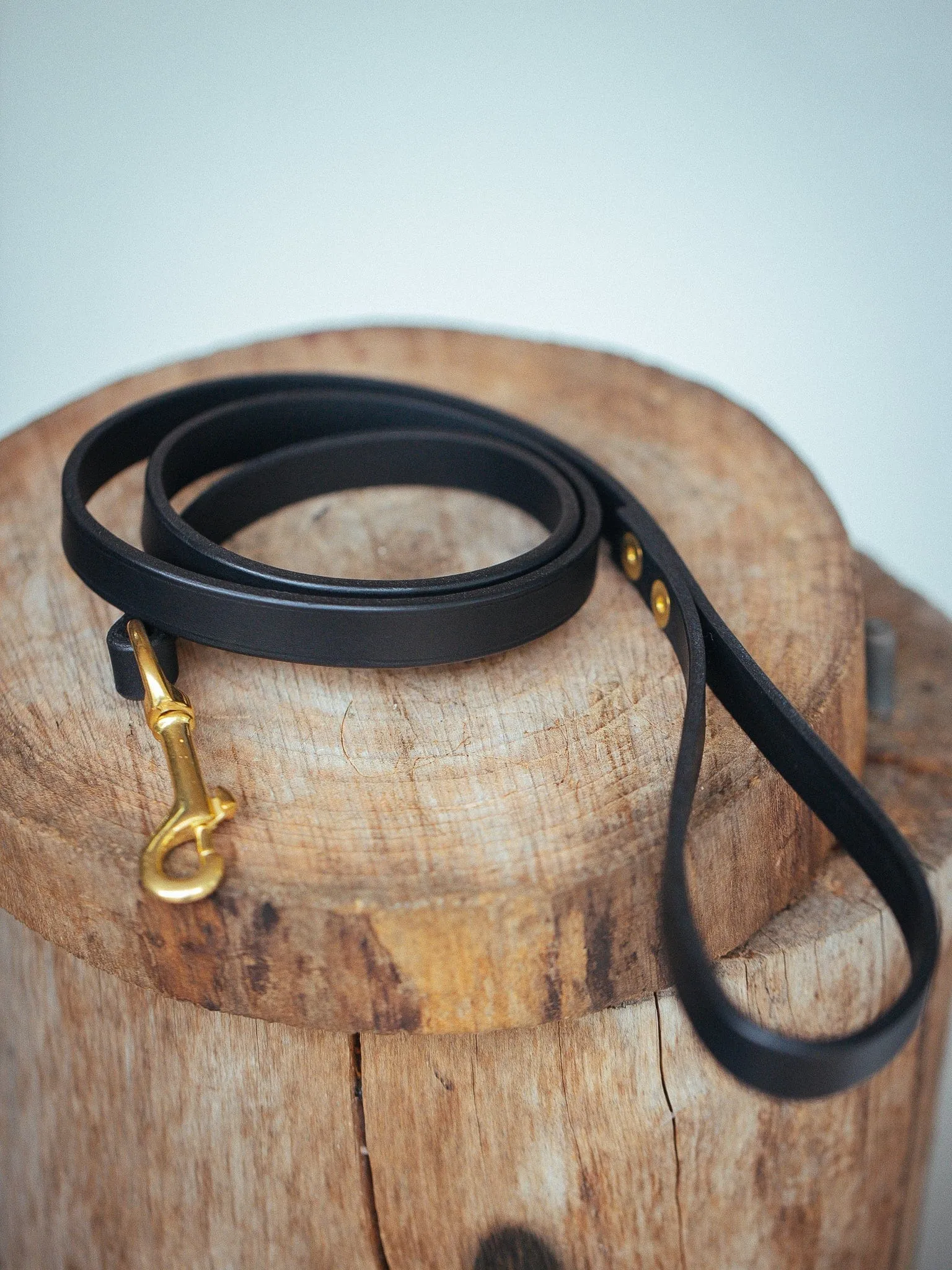 Narrow Dog Leash 15mm - Black