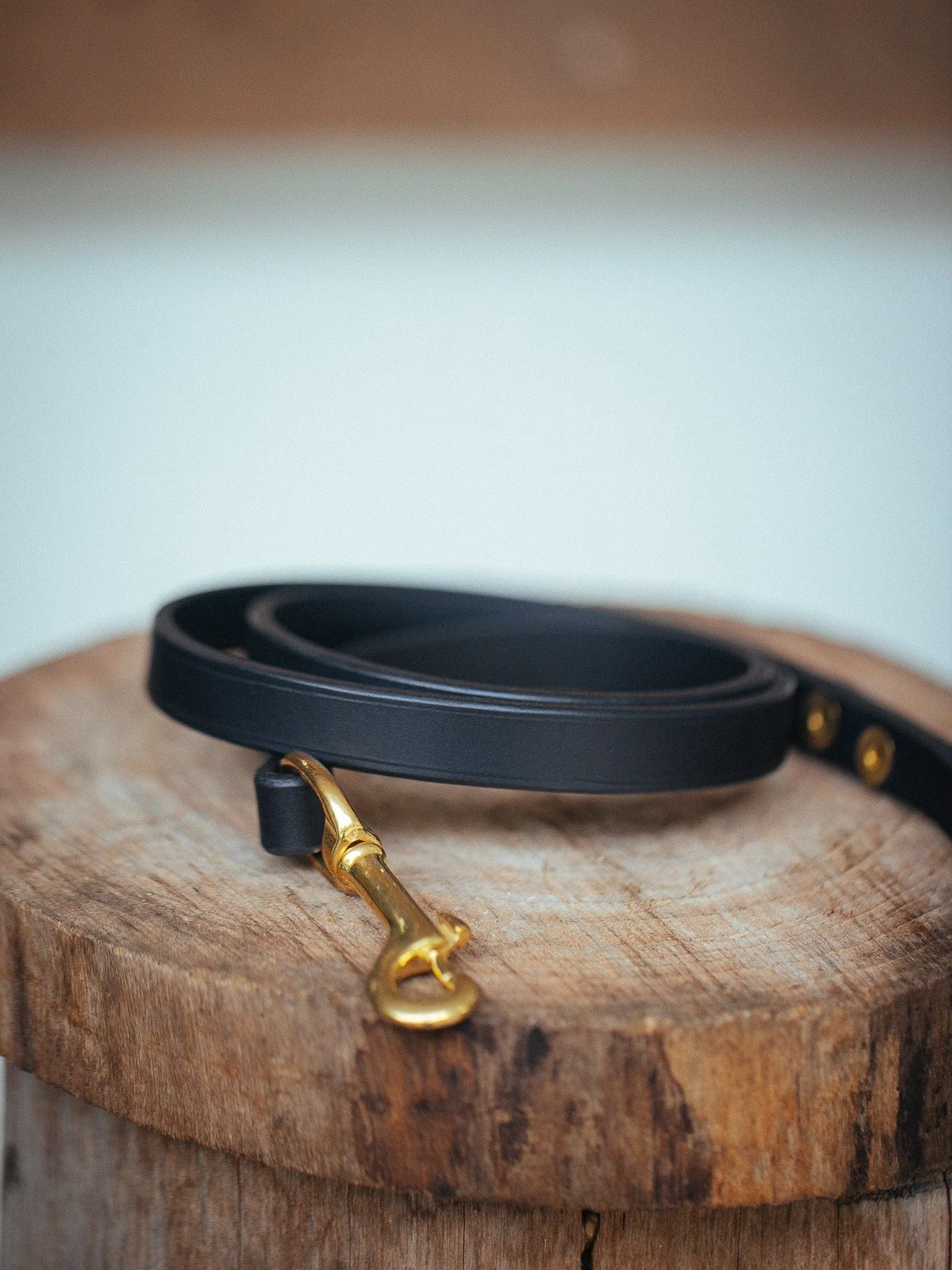 Narrow Dog Leash 15mm - Black