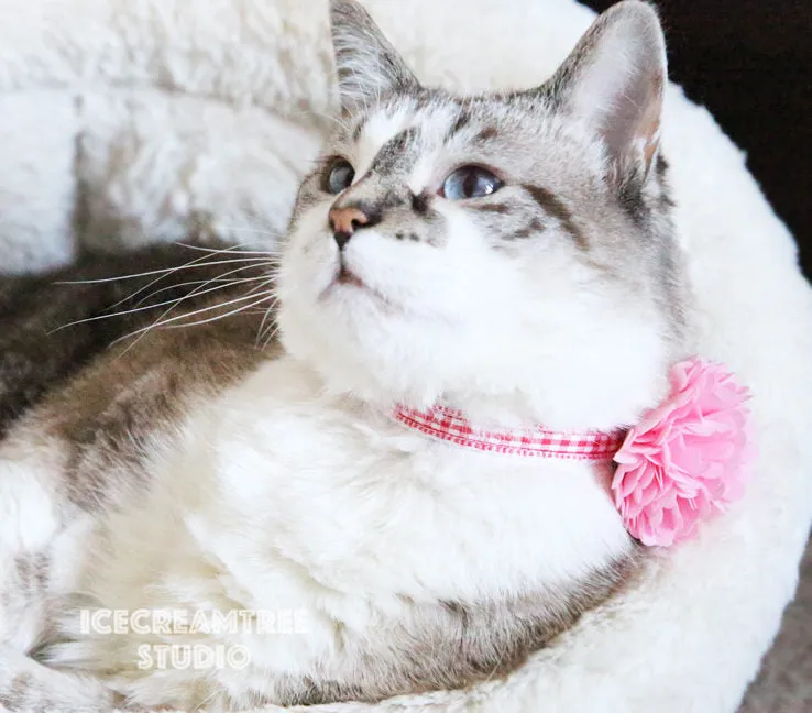 PomPom French Vanilla Bloom Collar Slide On - Small Flower Collar Accessory