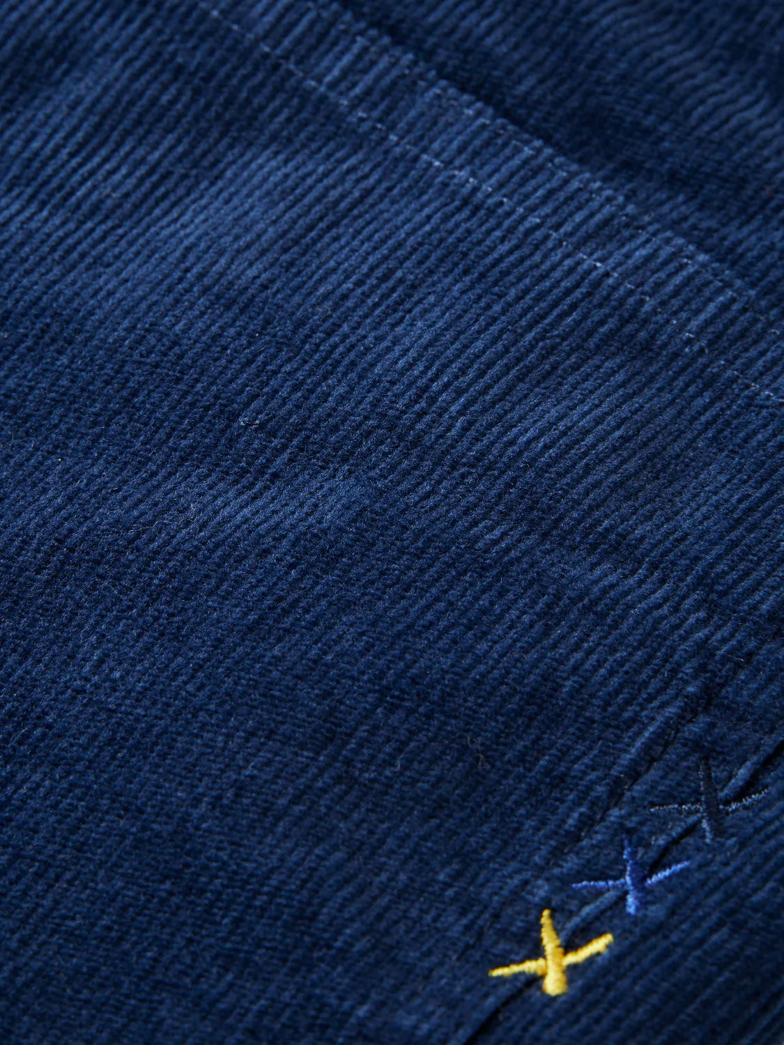 Ralston Regular Slim Fit Corduroy Pants in Navy
