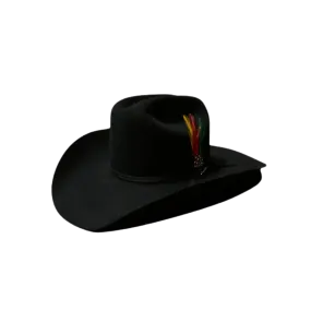 Stetson Men's Roper 6x Felt Black Hat