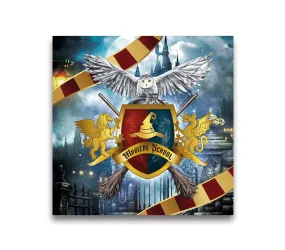Student Wizard Napkins