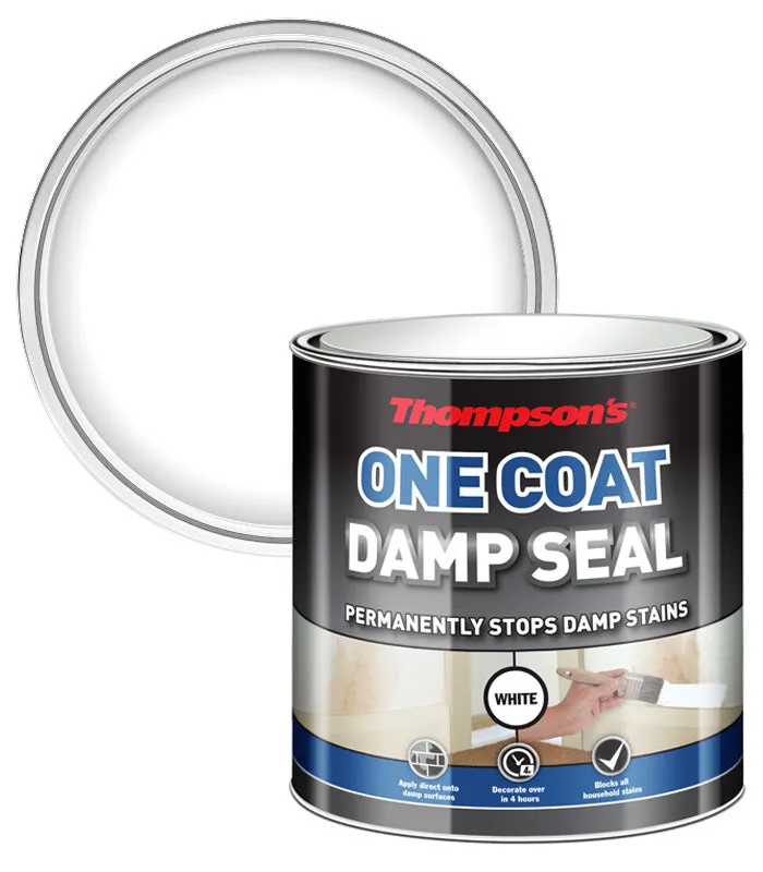 Thompsons One Coat Damp Seal