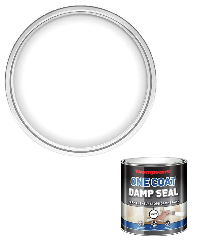 Thompsons One Coat Damp Seal