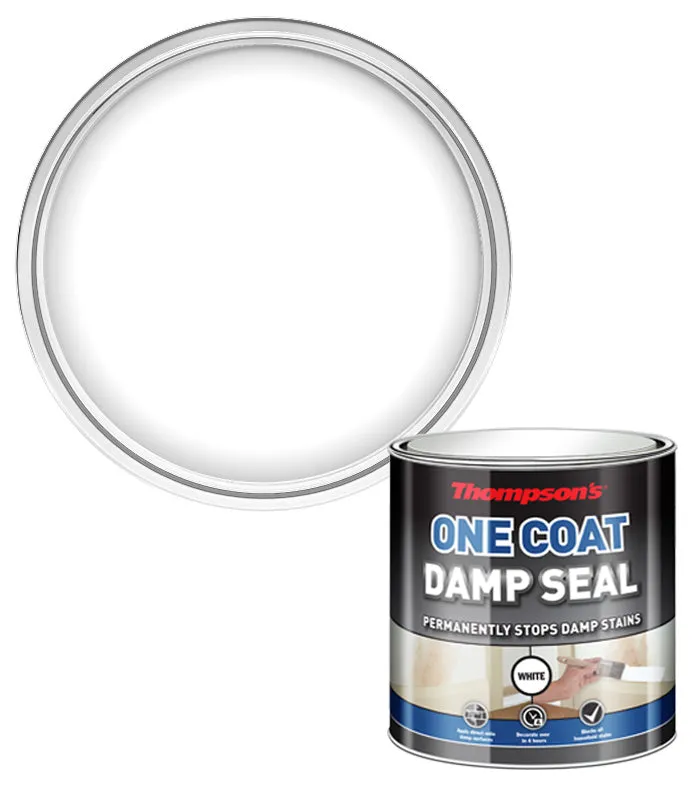 Thompsons One Coat Damp Seal
