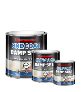 Thompsons One Coat Damp Seal