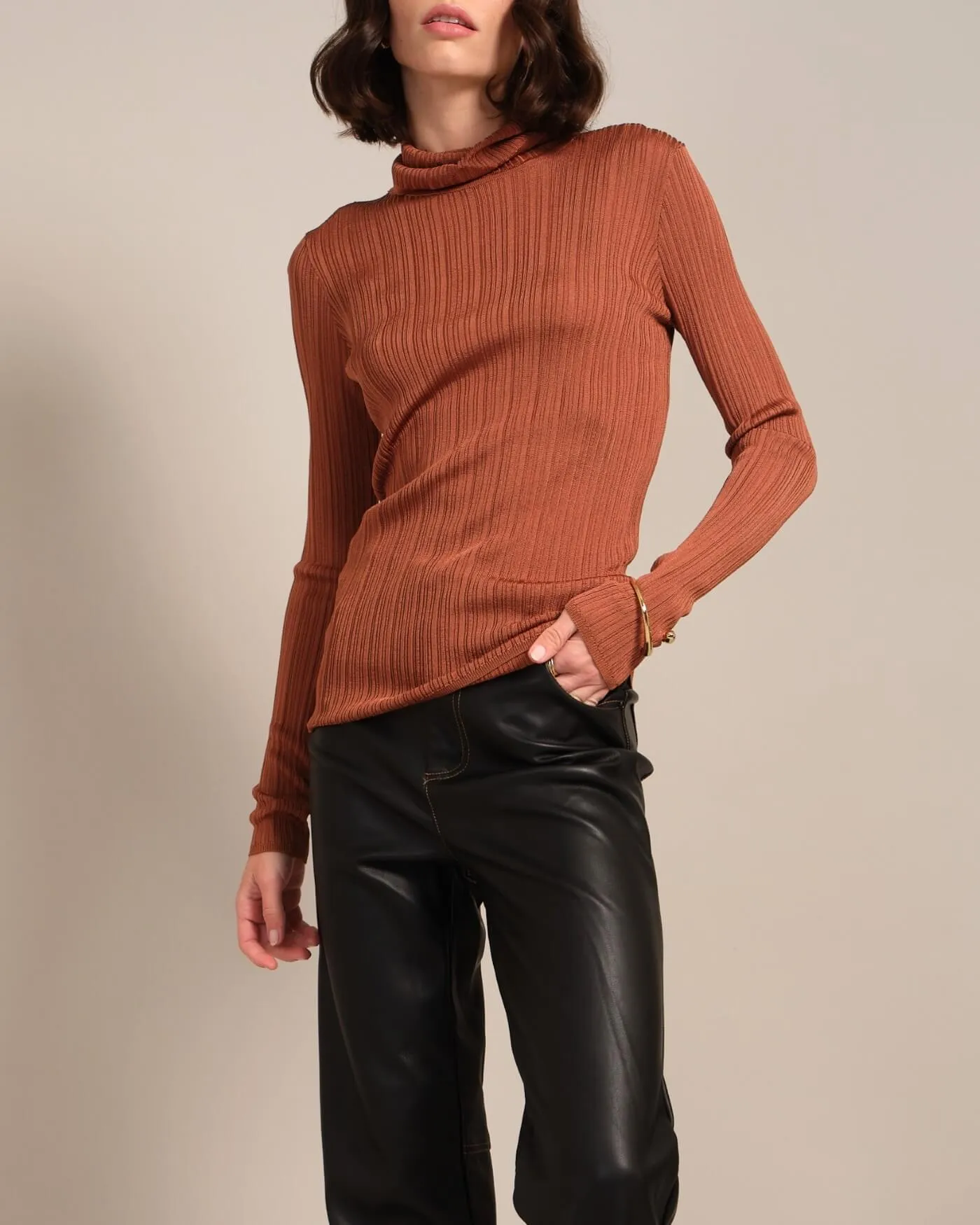Variegated Rib Turtleneck Pullover