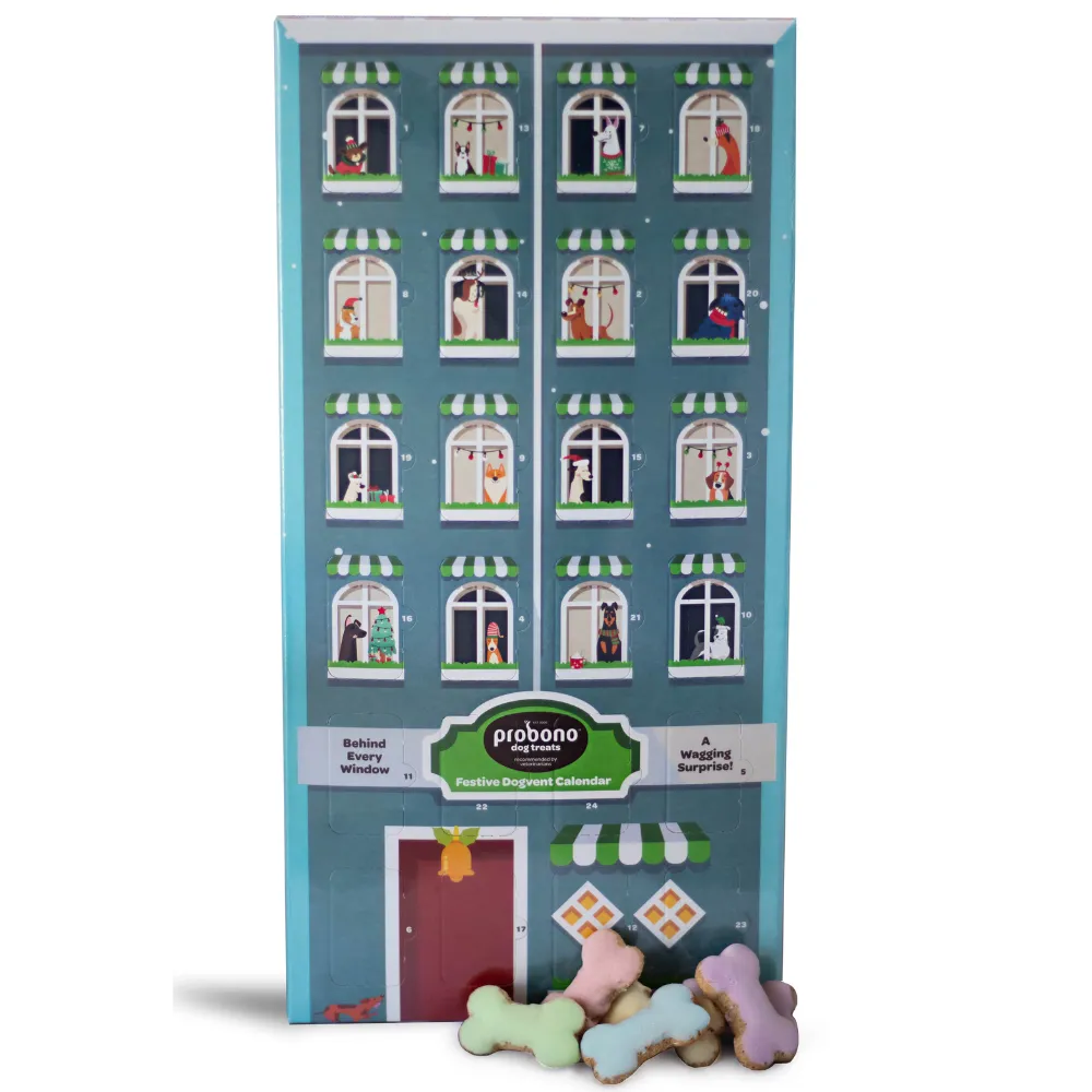 Xmas Iced Biscuits Advent Calendar